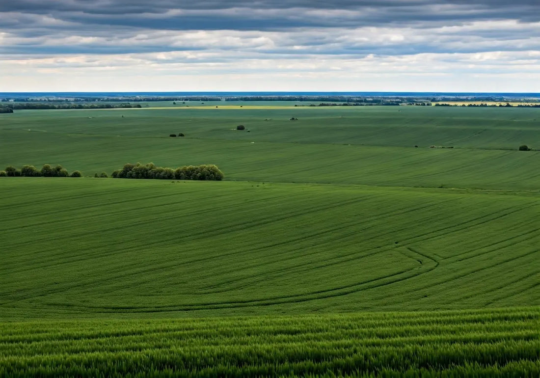 What Are Precision Agriculture Drones and How Do They Work?