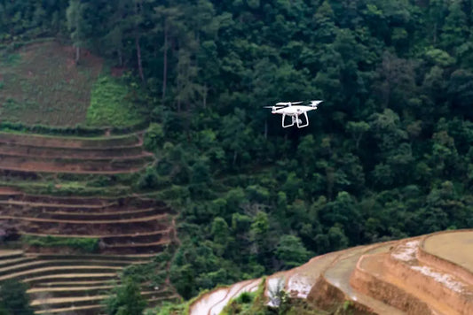 Drone Crop Scouting: Revolutionizing Agriculture One Flight at a Time