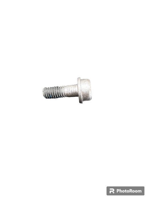 T40 Motor Bolt