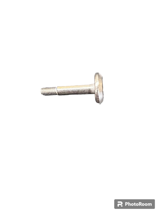 T40 Motor Cover Bolt