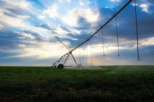 How Agricultural Spraying Services Are Revolutionizing Modern Farming