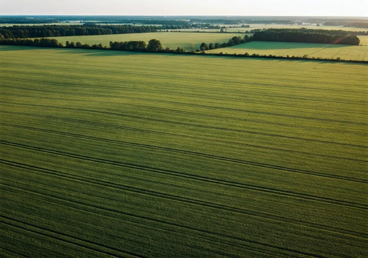 How Accurate is Drone Crop Analysis for Farming?