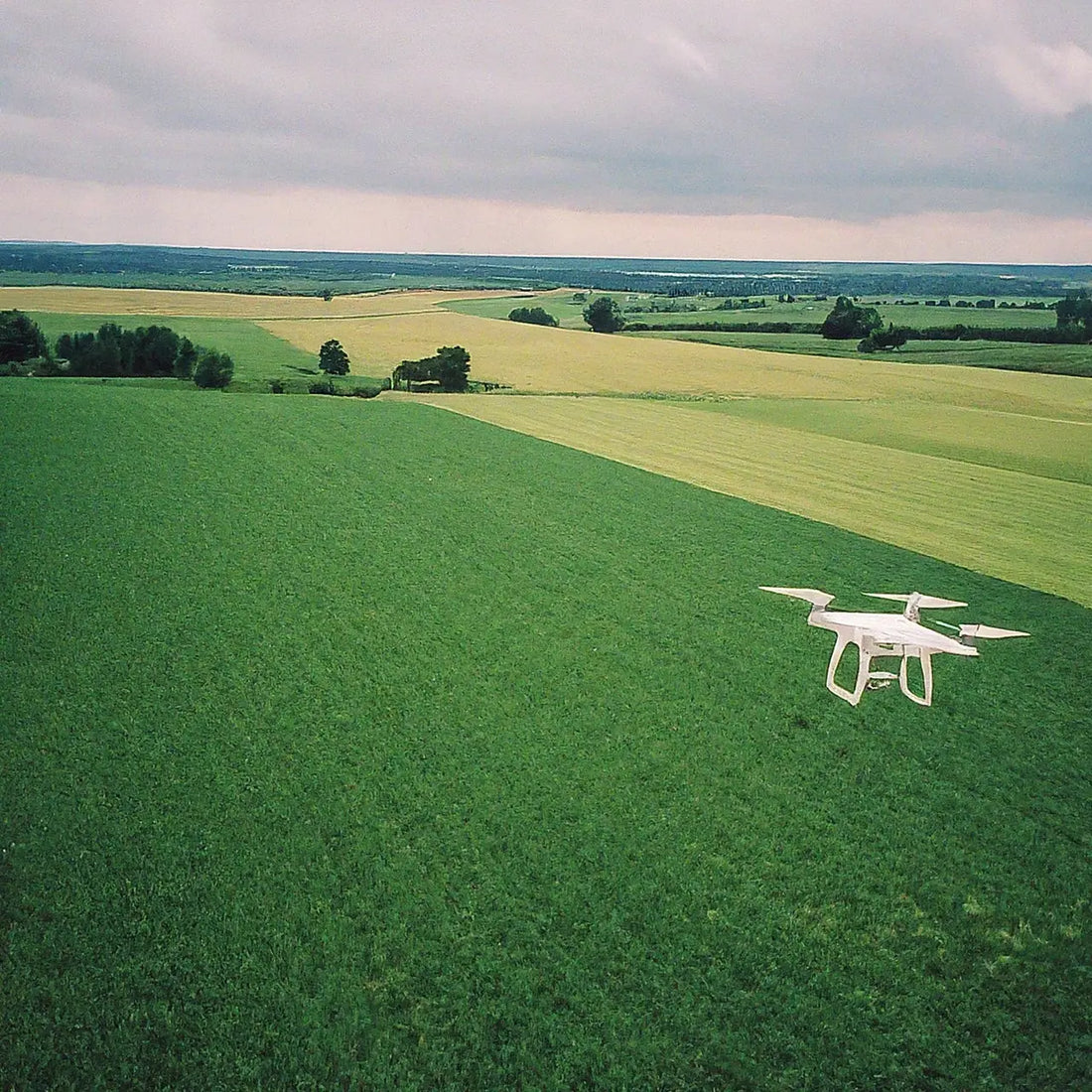 A Comprehensive Guide to Implementing Drone Pest Control for Your Farm