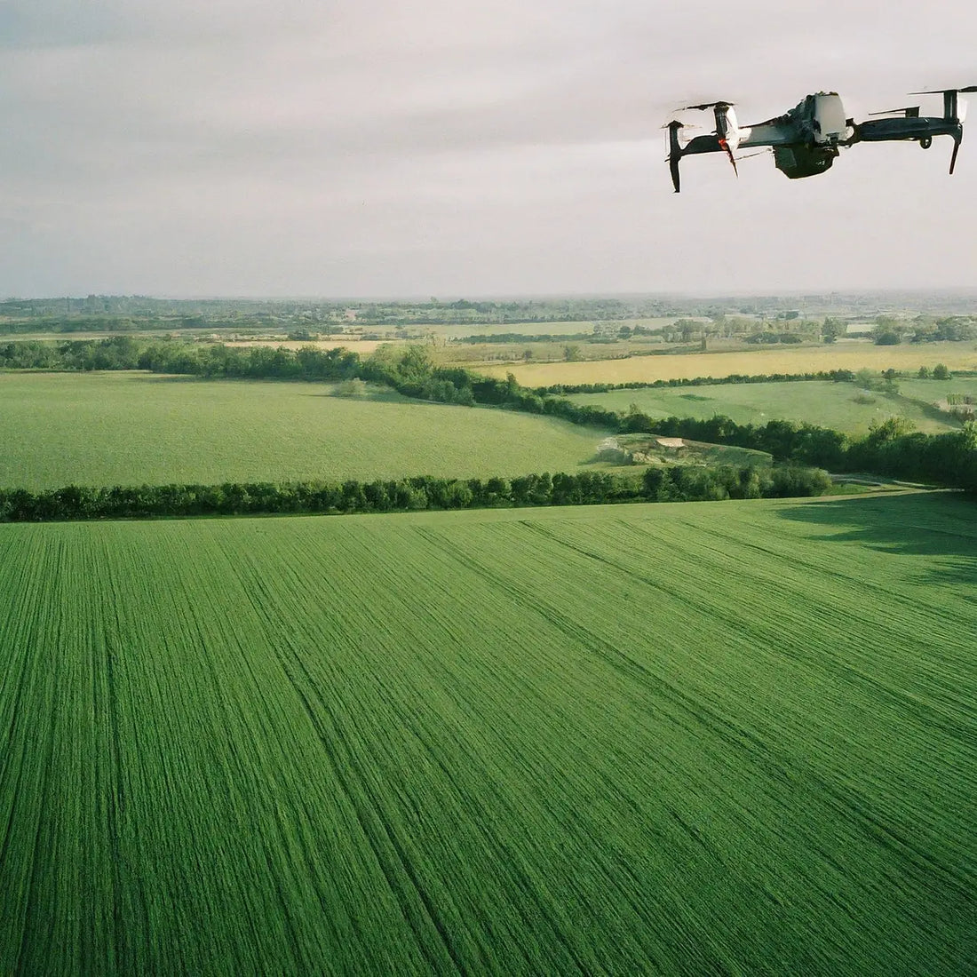 A Comprehensive Guide to Using Crop Analysis Drones for Efficient Farm Management