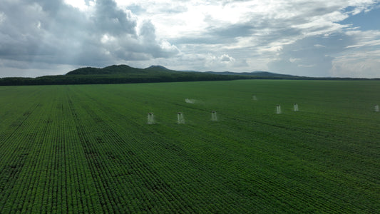 Discover How Many Acres a Spray Drone Can Cover in a Single Day