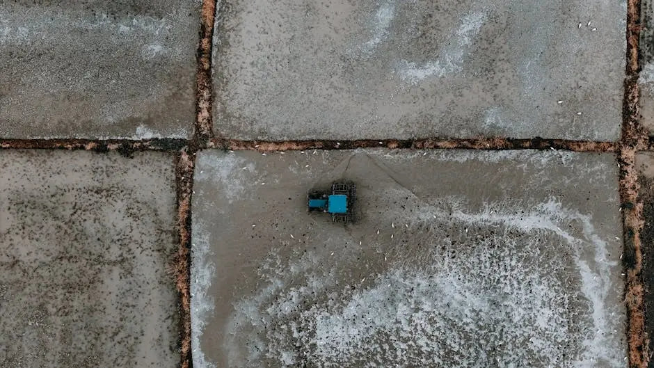 7 Ways Agriculture Drone Solutions are Transforming Farming Practices