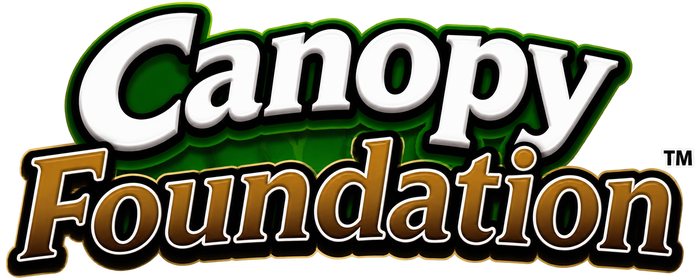 Foundation